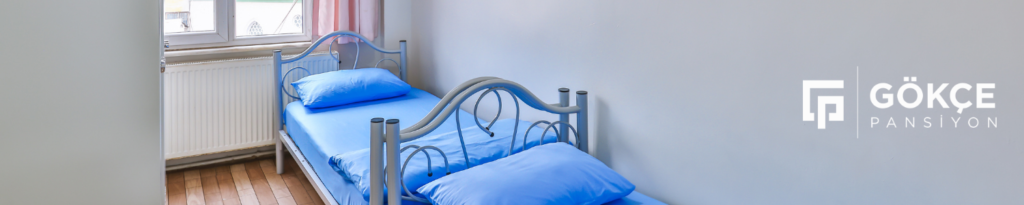Gokce Ara Banner 3 4
