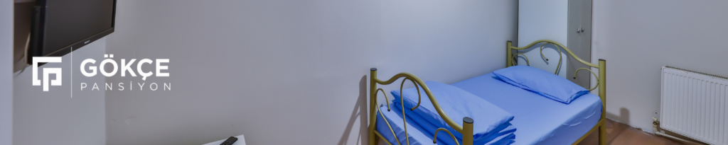 Gokce Ara Banner 4 6